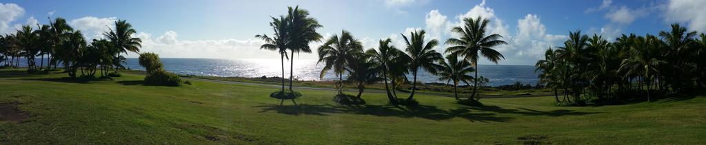 Whale House At Kehena Beach Pahoa Quarto foto