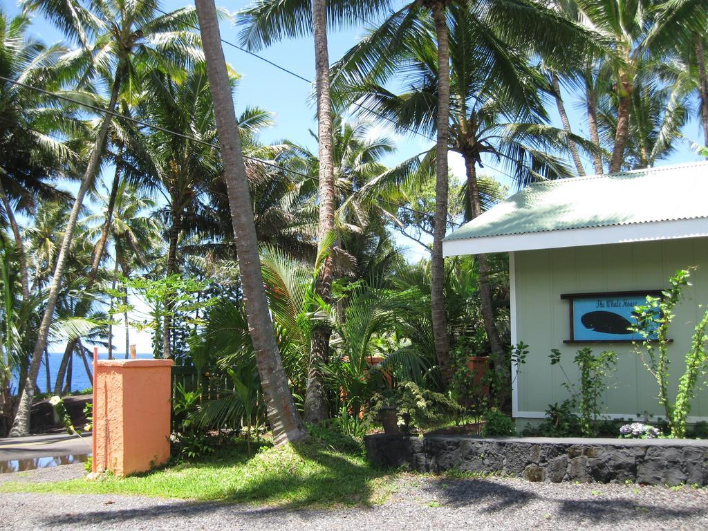 Whale House At Kehena Beach Pahoa Quarto foto