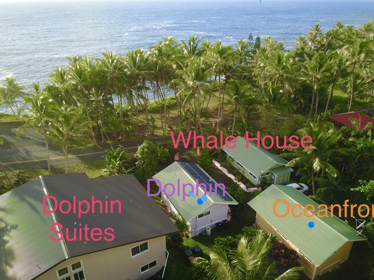 Whale House At Kehena Beach Pahoa Exterior foto