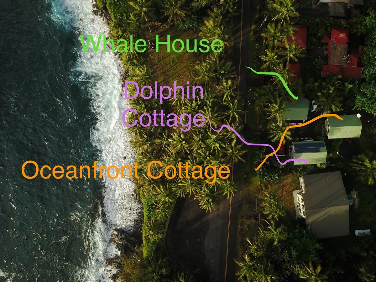 Whale House At Kehena Beach Pahoa Exterior foto